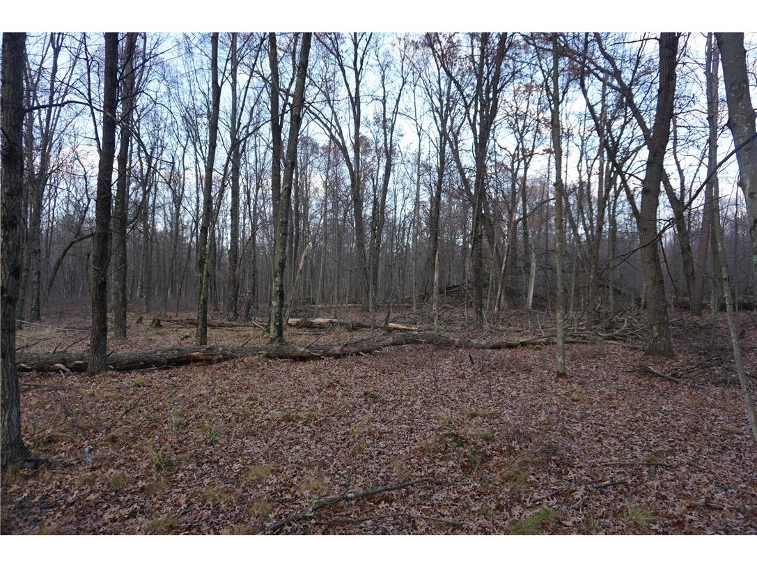 000 Birch Ln Nekoosa WI 54457 1597129 image15