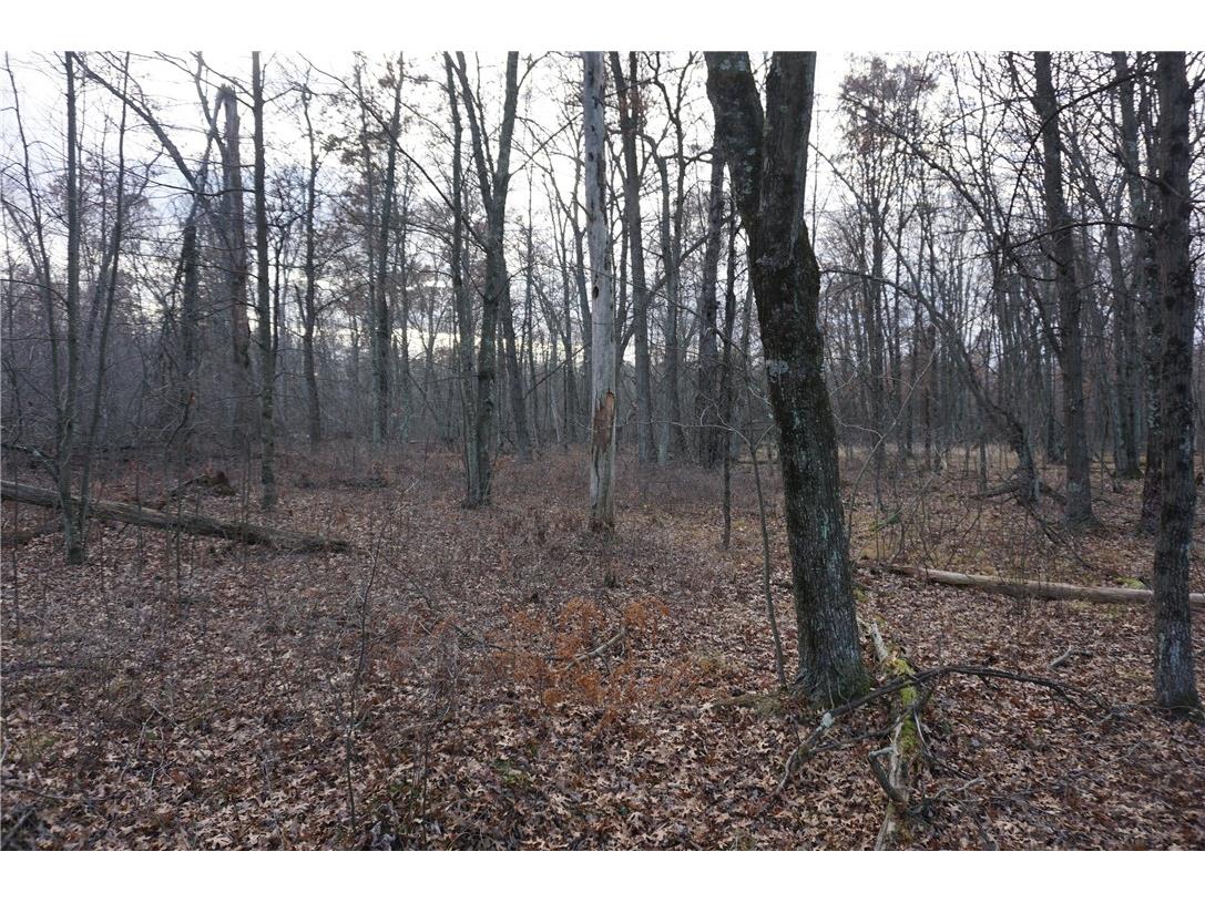 000 Birch Ln Nekoosa WI 54457 1597129 image16