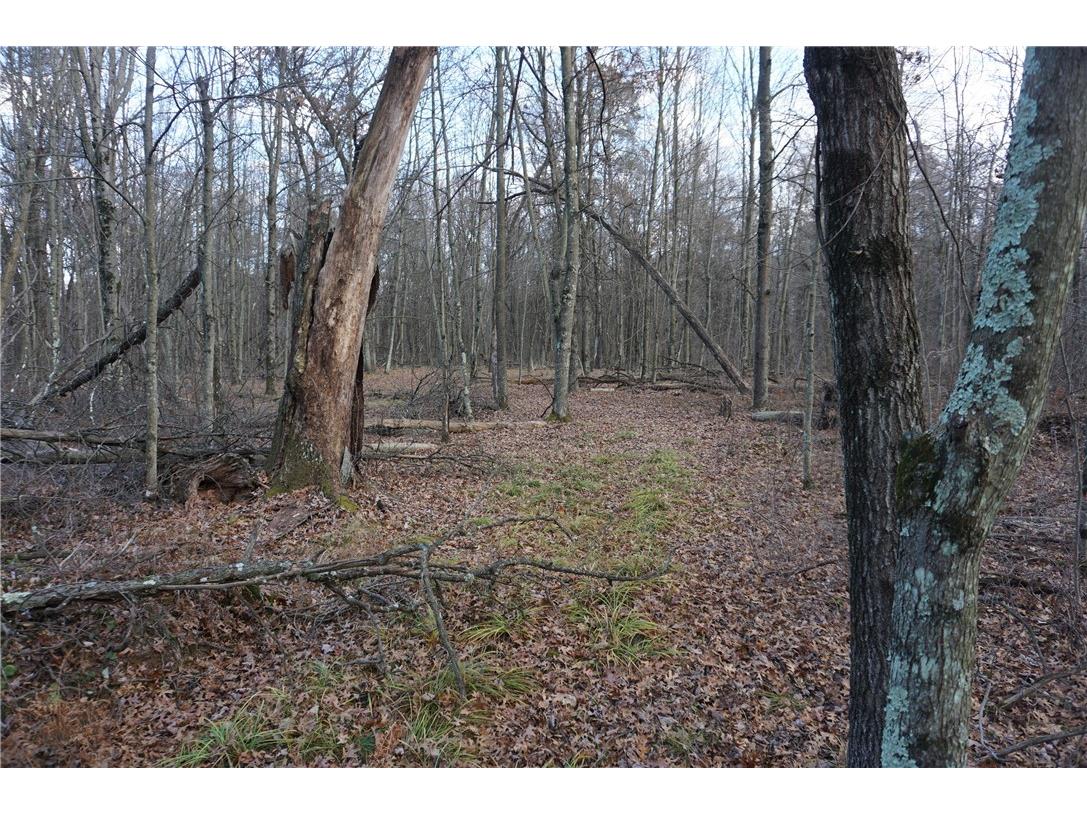 000 Birch Ln Nekoosa WI 54457 1597129 image17