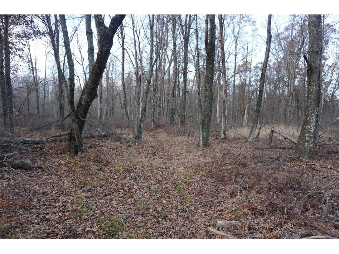 000 Birch Ln Nekoosa WI 54457 1597129 image18