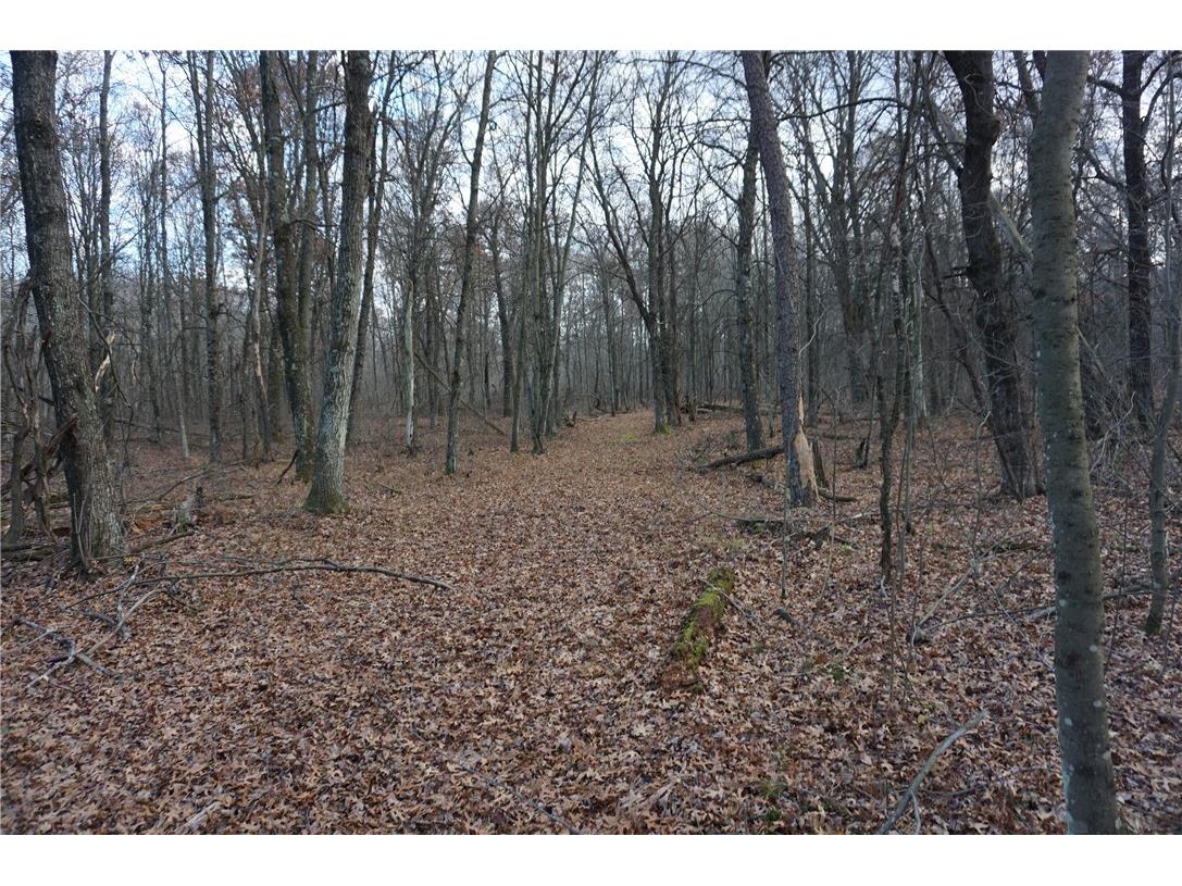 000 Birch Ln Nekoosa WI 54457 1597129 image19