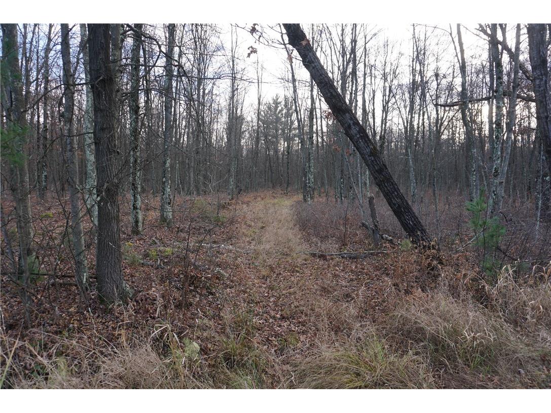 000 Birch Ln Nekoosa WI 54457 1597129 image2