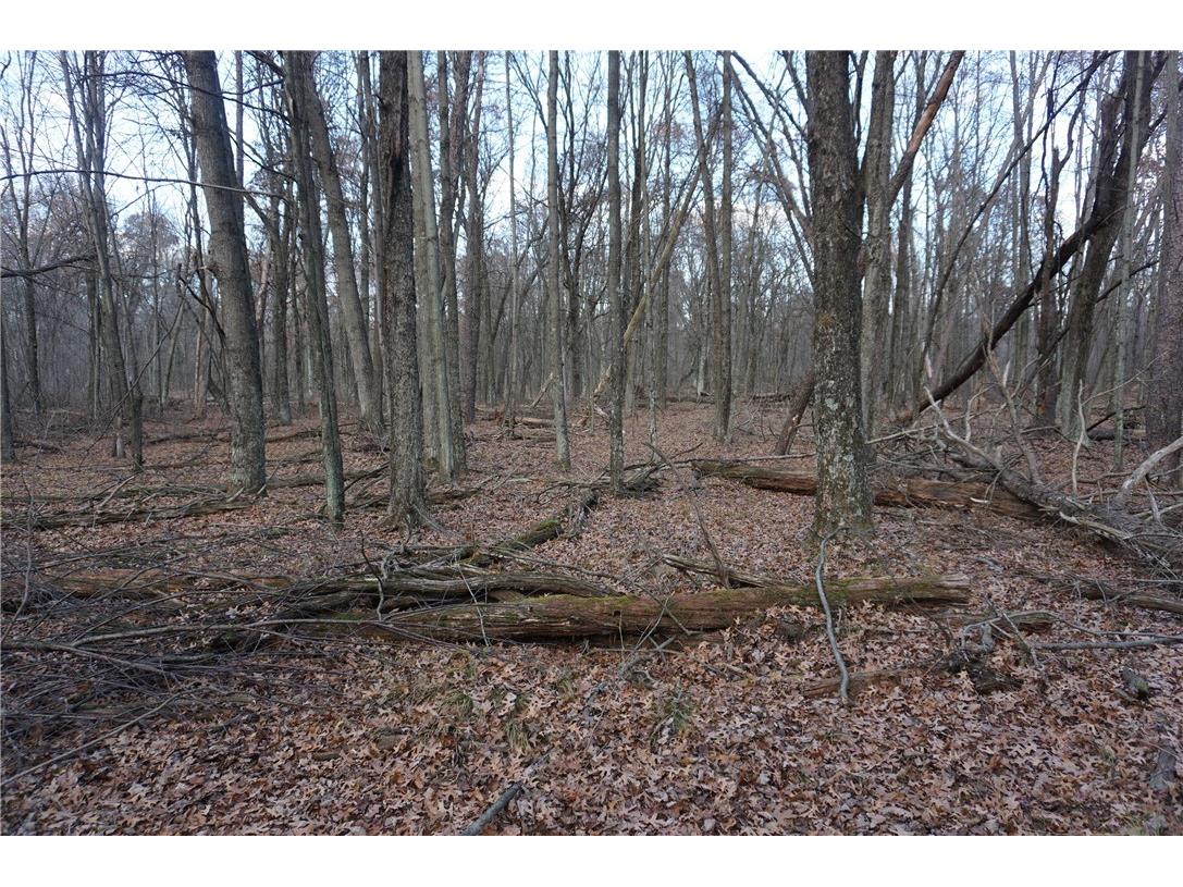 000 Birch Ln Nekoosa WI 54457 1597129 image20