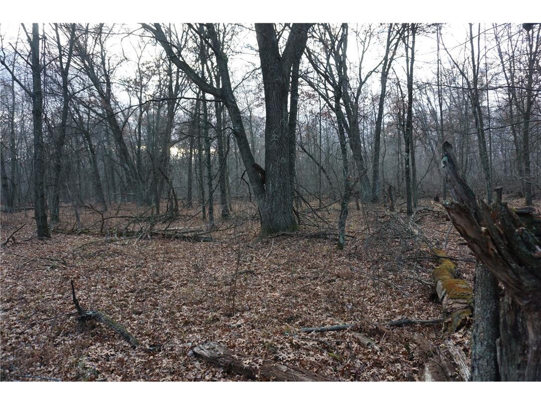 000 Birch Ln Nekoosa WI 54457 1597129 image21