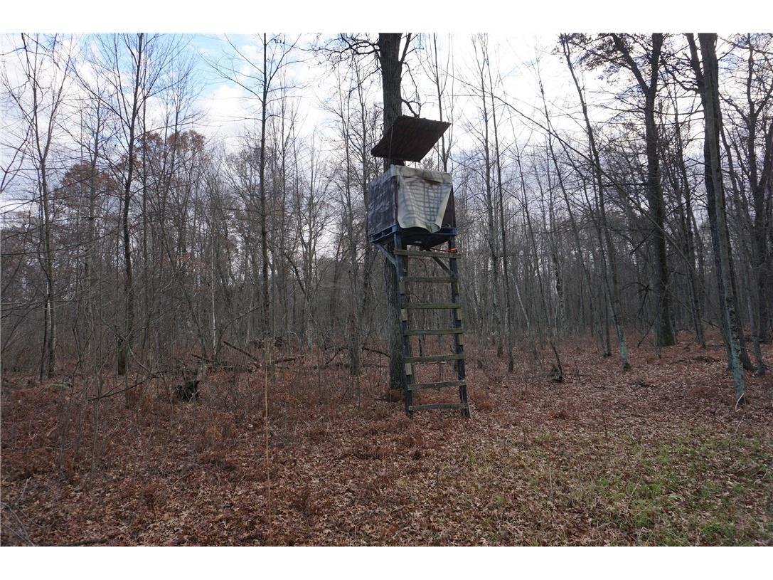 000 Birch Ln Nekoosa WI 54457 1597129 image23