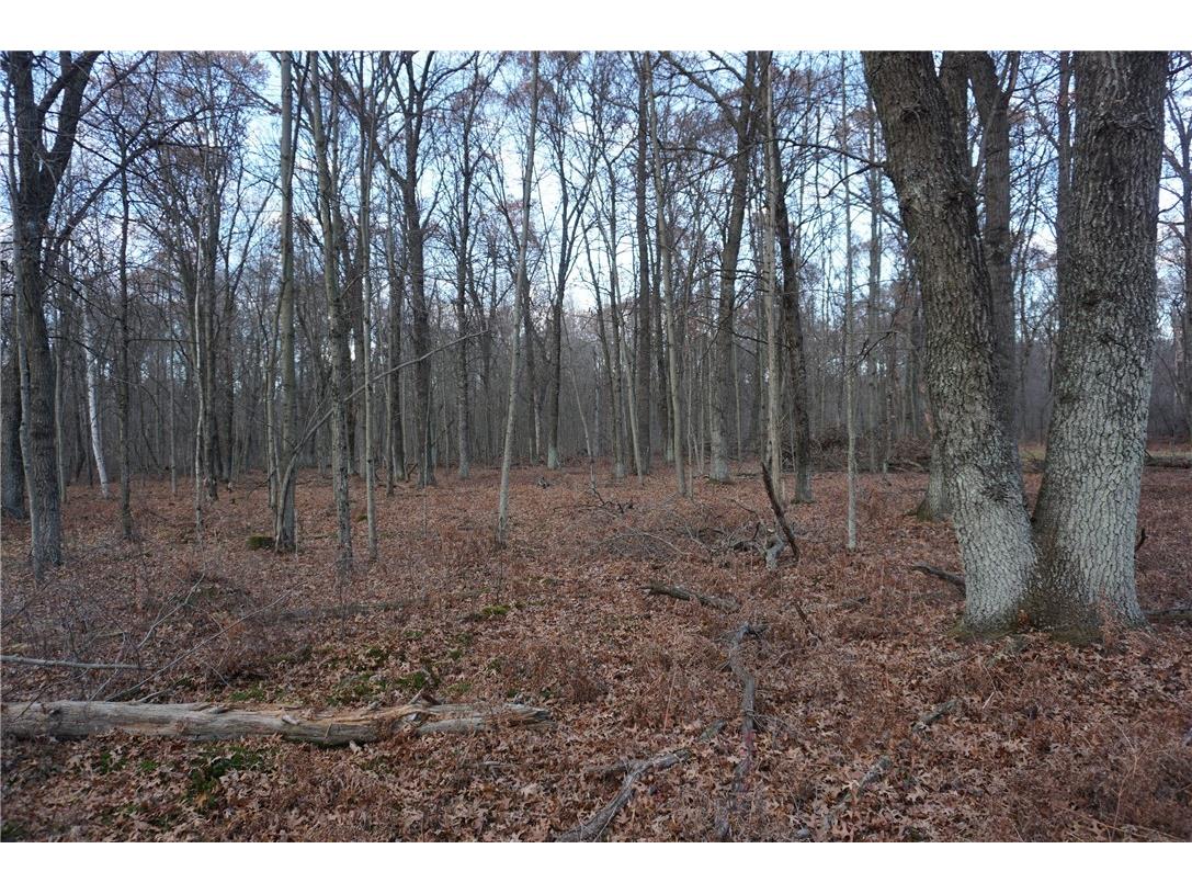 000 Birch Ln Nekoosa WI 54457 1597129 image24