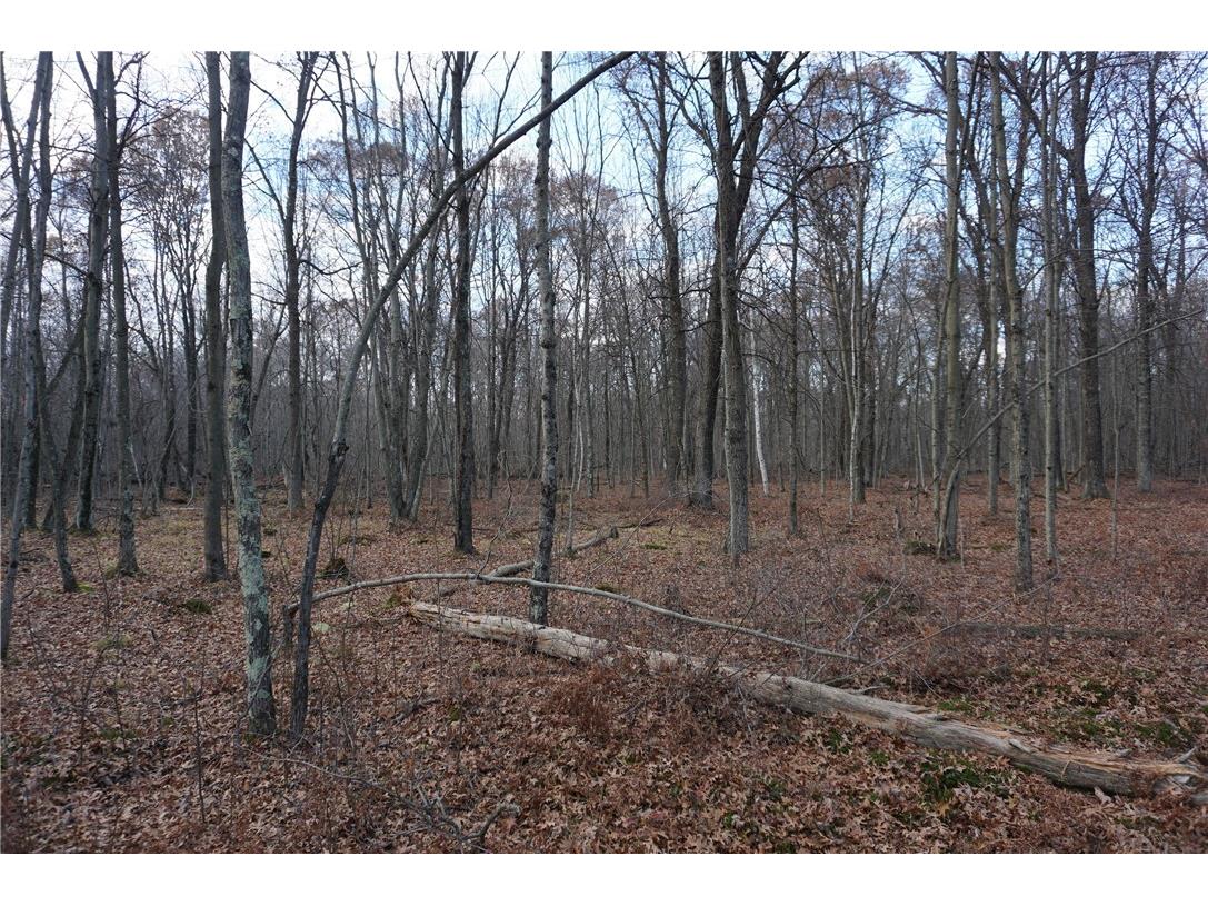 000 Birch Ln Nekoosa WI 54457 1597129 image25