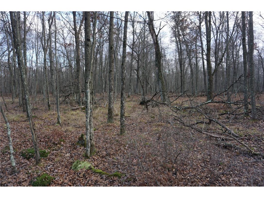 000 Birch Ln Nekoosa WI 54457 1597129 image26