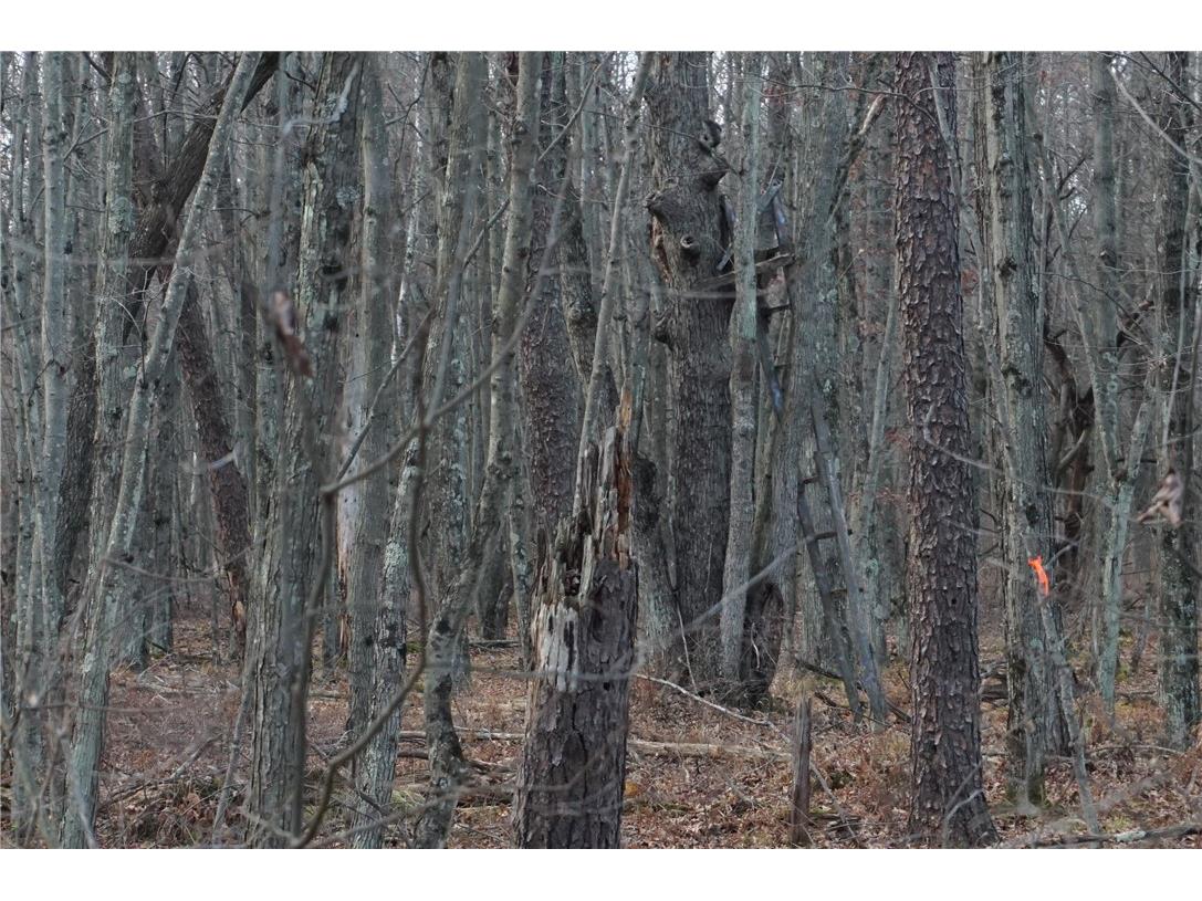 000 Birch Ln Nekoosa WI 54457 1597129 image27