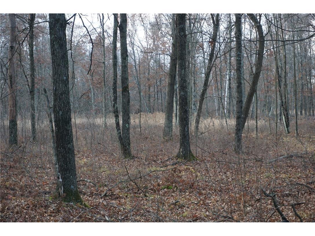 000 Birch Ln Nekoosa WI 54457 1597129 image29