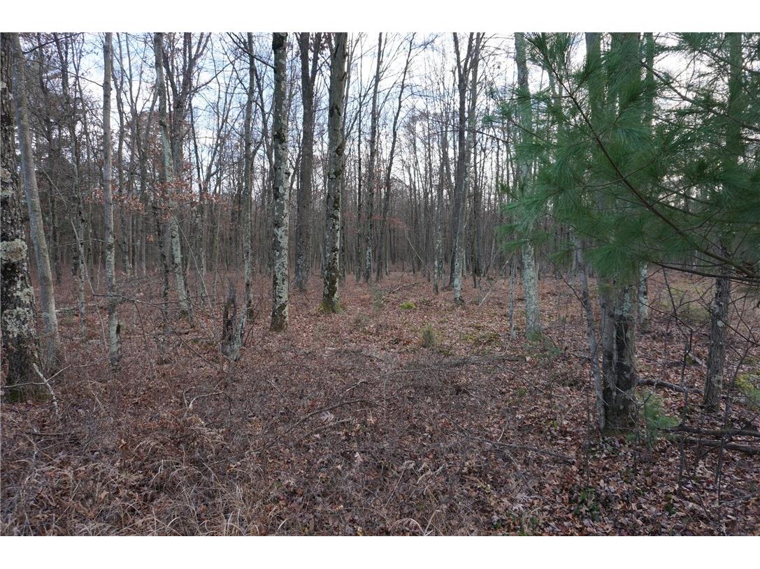 000 Birch Ln Nekoosa WI 54457 1597129 image3