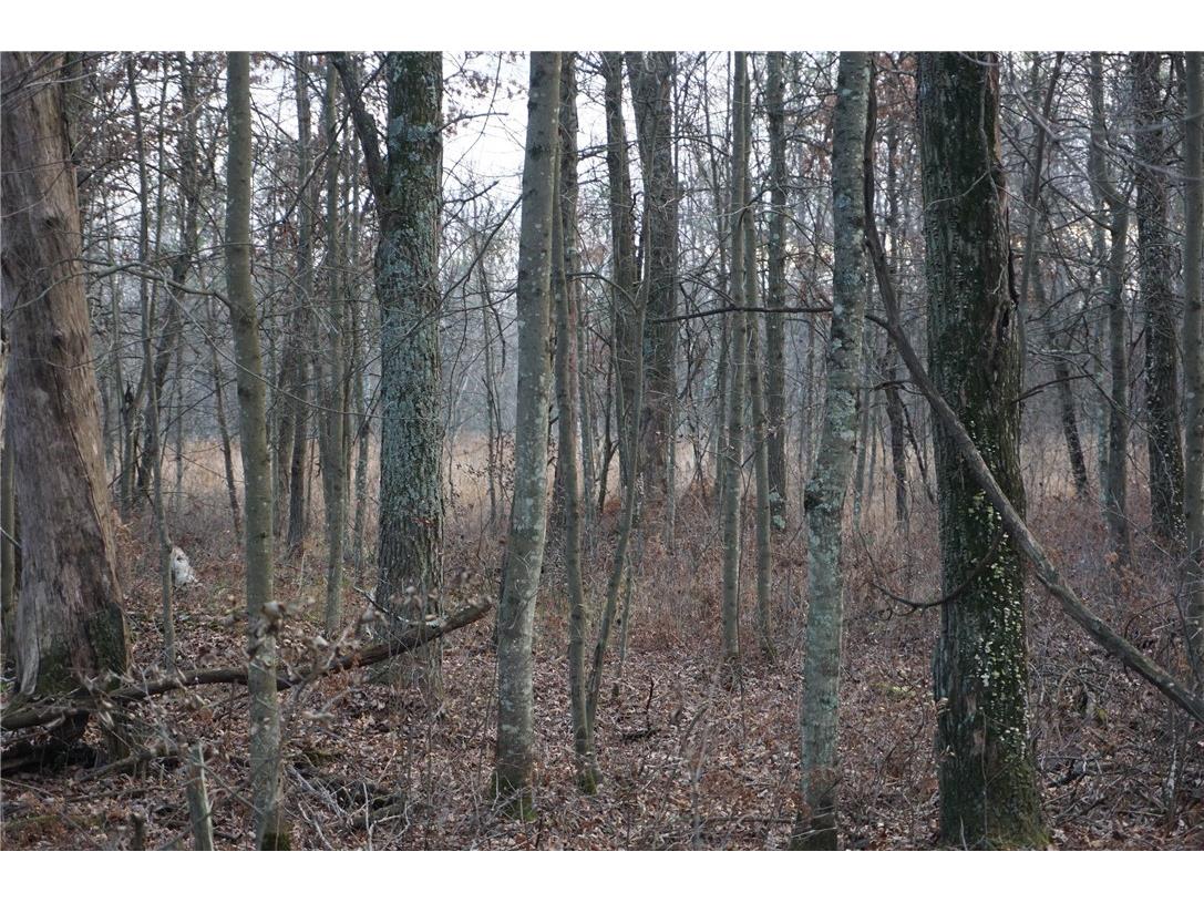 000 Birch Ln Nekoosa WI 54457 1597129 image30