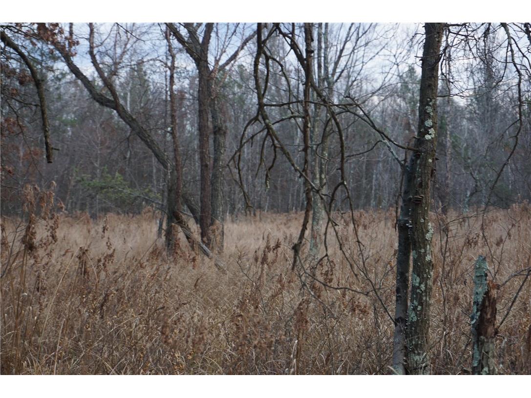 000 Birch Ln Nekoosa WI 54457 1597129 image31