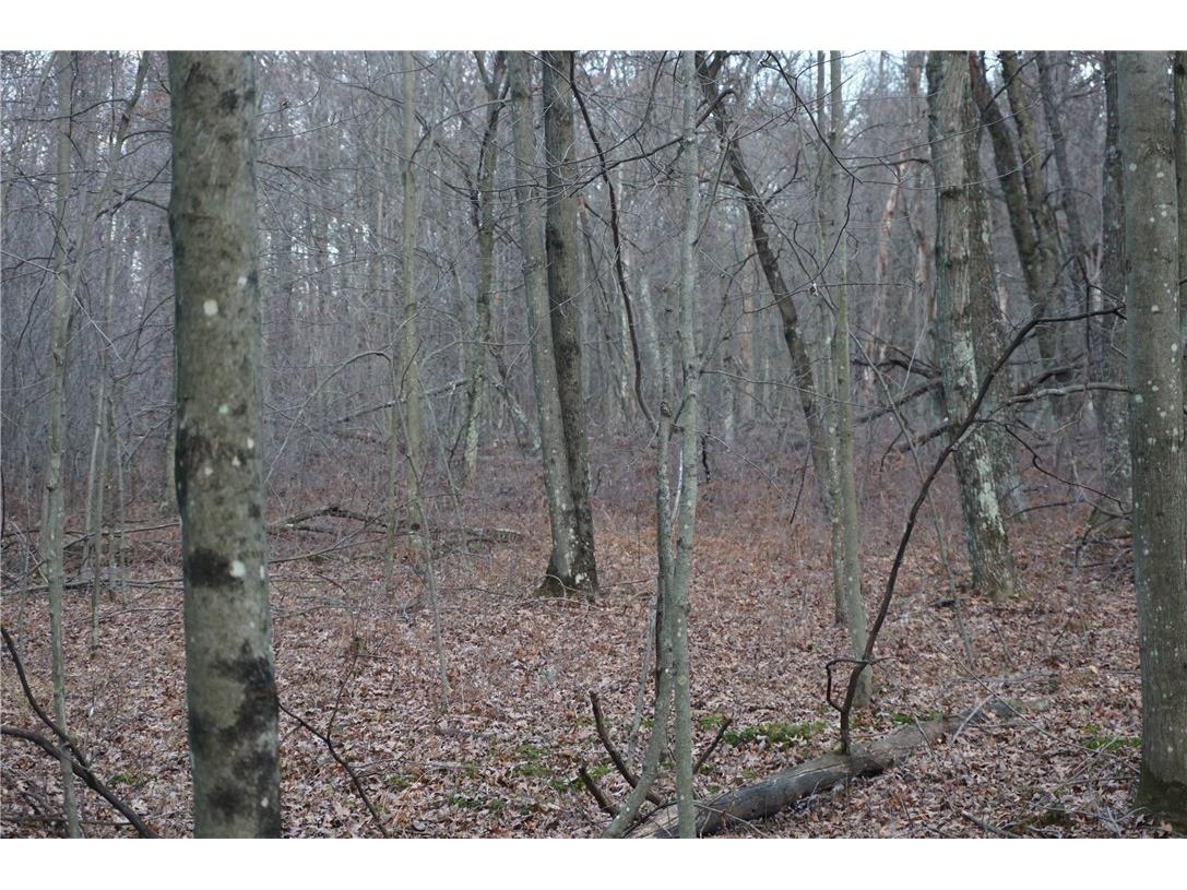 000 Birch Ln Nekoosa WI 54457 1597129 image33