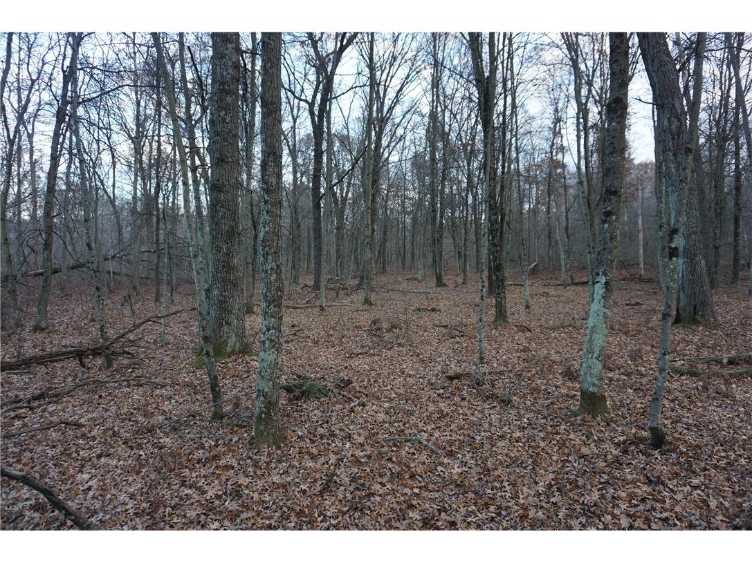 000 Birch Ln Nekoosa WI 54457 1597129 image34