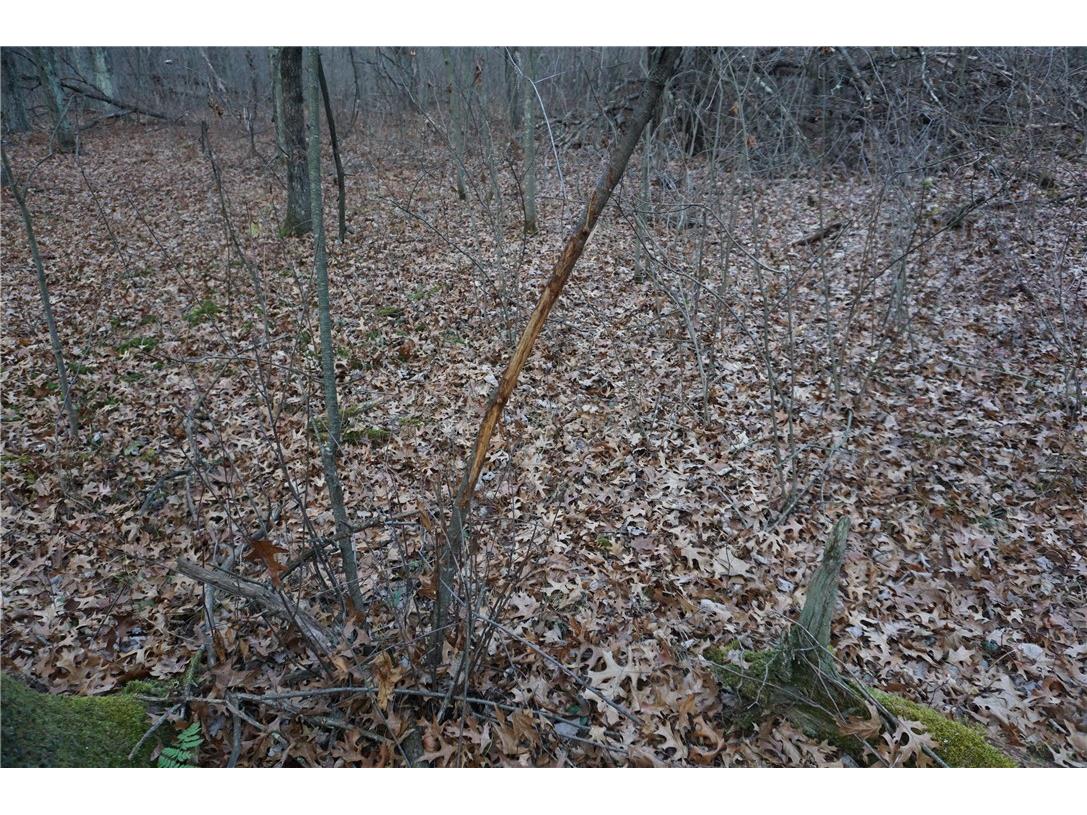 000 Birch Ln Nekoosa WI 54457 1597129 image35