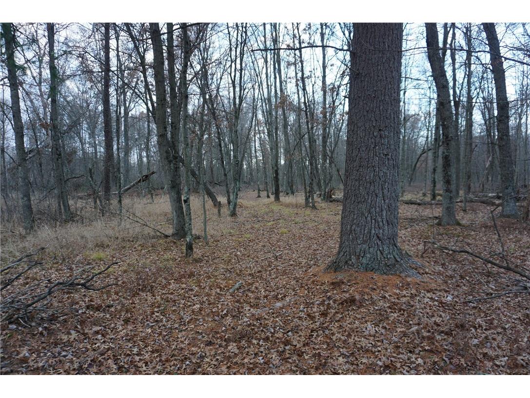 000 Birch Ln Nekoosa WI 54457 1597129 image36