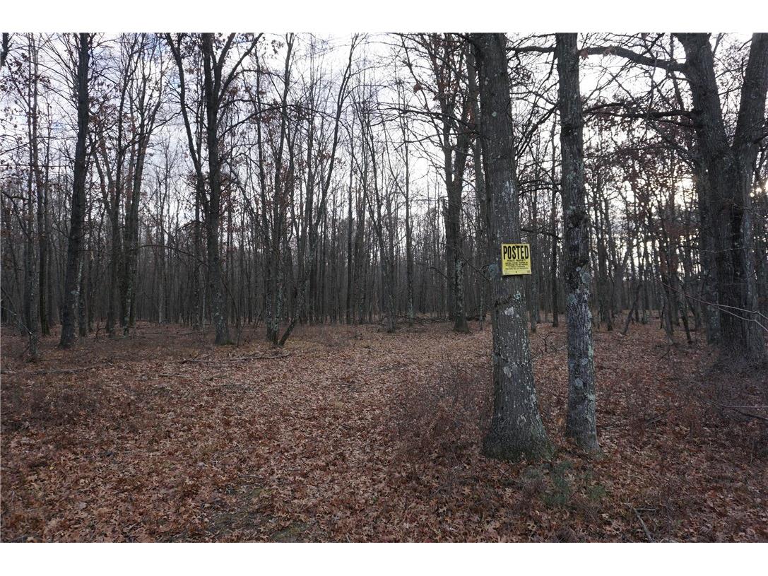 000 Birch Ln Nekoosa WI 54457 1597129 image4