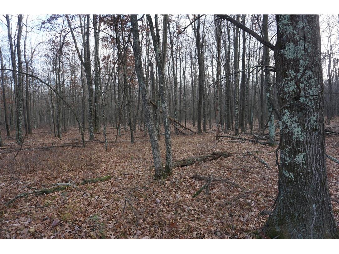 000 Birch Ln Nekoosa WI 54457 1597129 image5