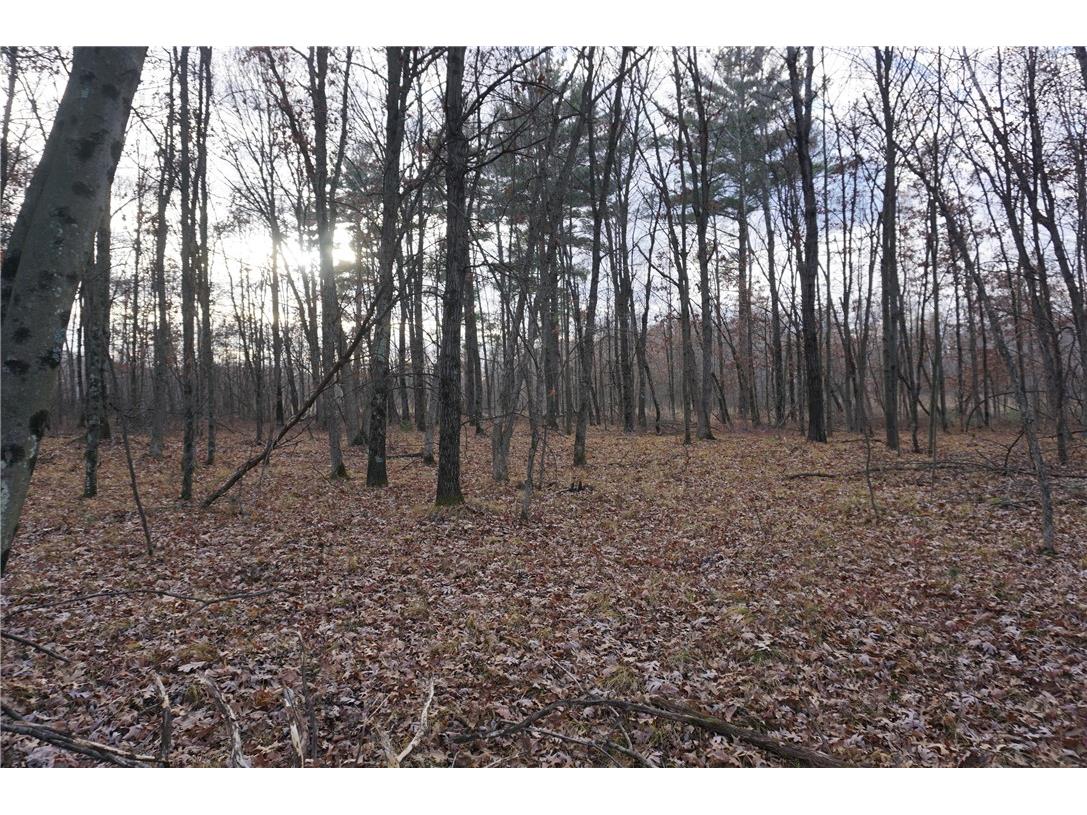 000 Birch Ln Nekoosa WI 54457 1597129 image6