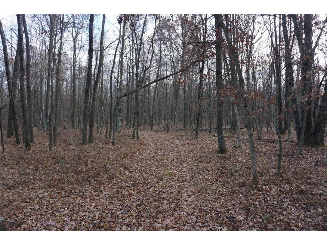 000 Birch Ln Nekoosa WI 54457 1597129 image7