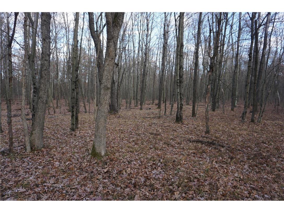 000 Birch Ln Nekoosa WI 54457 1597129 image8