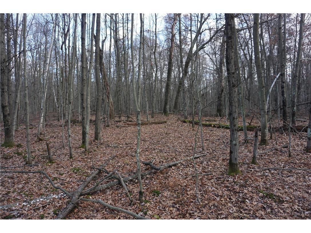 000 Birch Ln Nekoosa WI 54457 1597129 image9