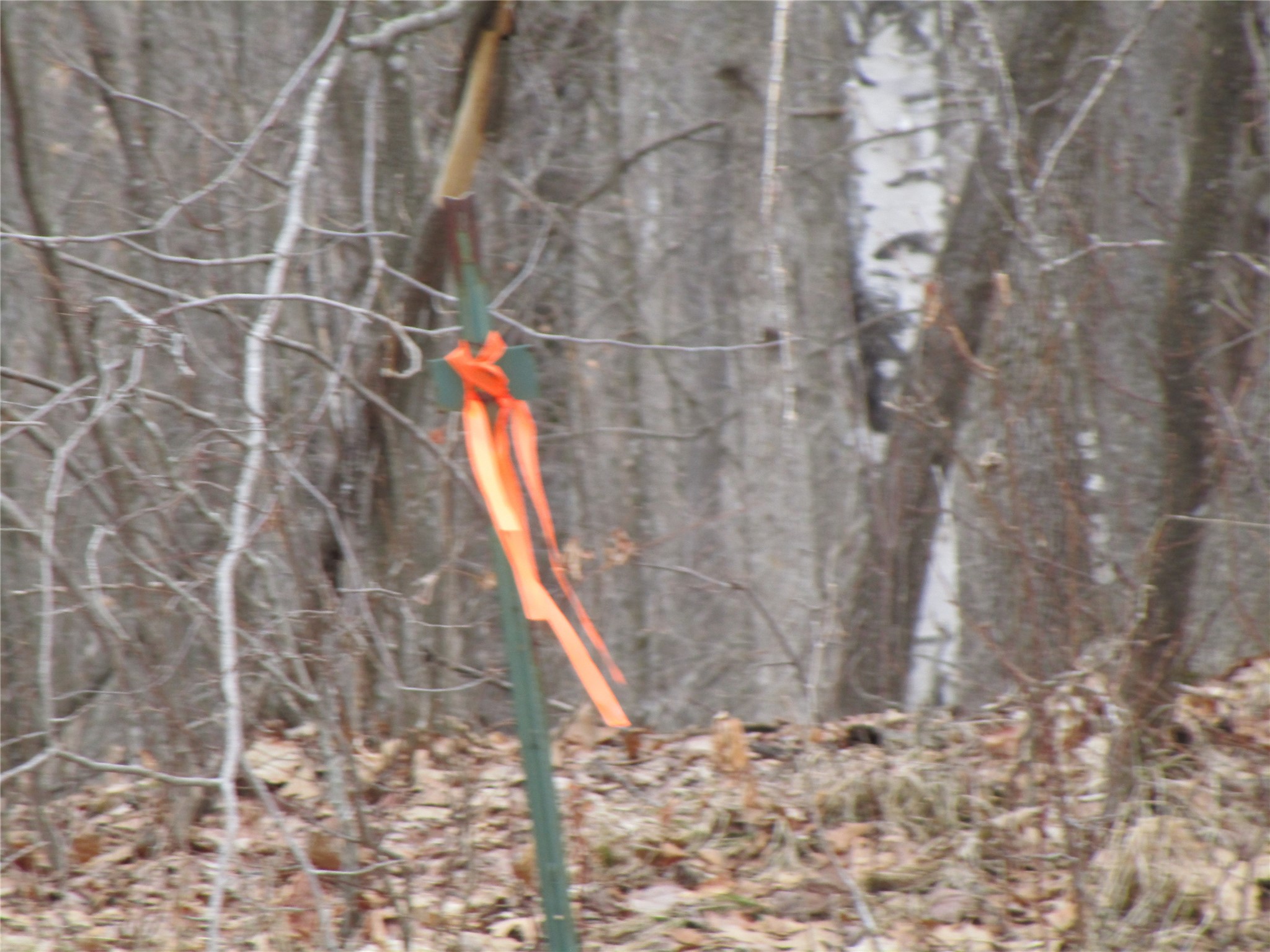 000 Camp Road Weyerhaeuser WI 54895 - Two Bear 1598023 image11