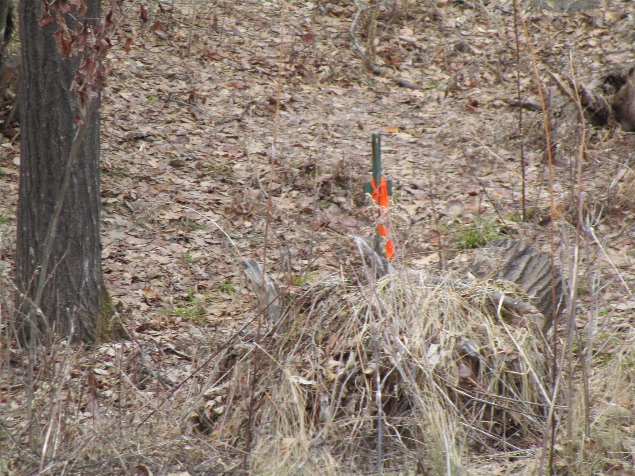 000 Camp Road Weyerhaeuser WI 54895 - Two Bear 1598023 image2