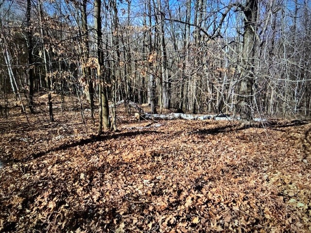 000 Camp Road Weyerhaeuser WI 54895 - Two Bear 1598023 image3