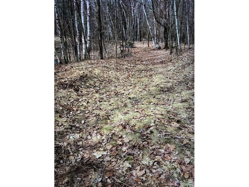 000 Camp Road Weyerhaeuser WI 54895 - Two Bear 1598023 image4