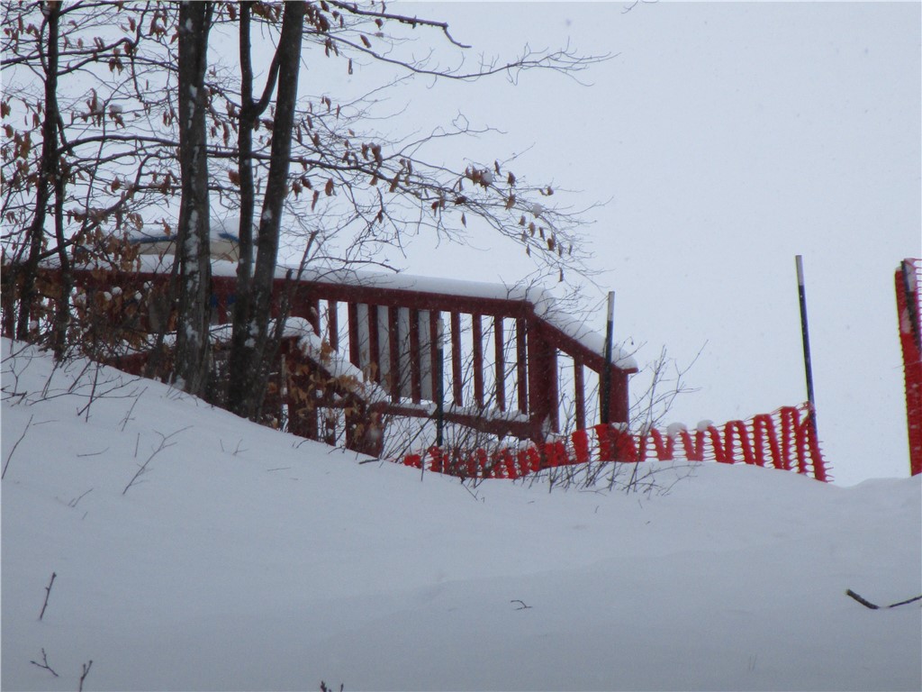 000 Camp Road Weyerhaeuser WI 54895 - Two Bear 1598023 image8