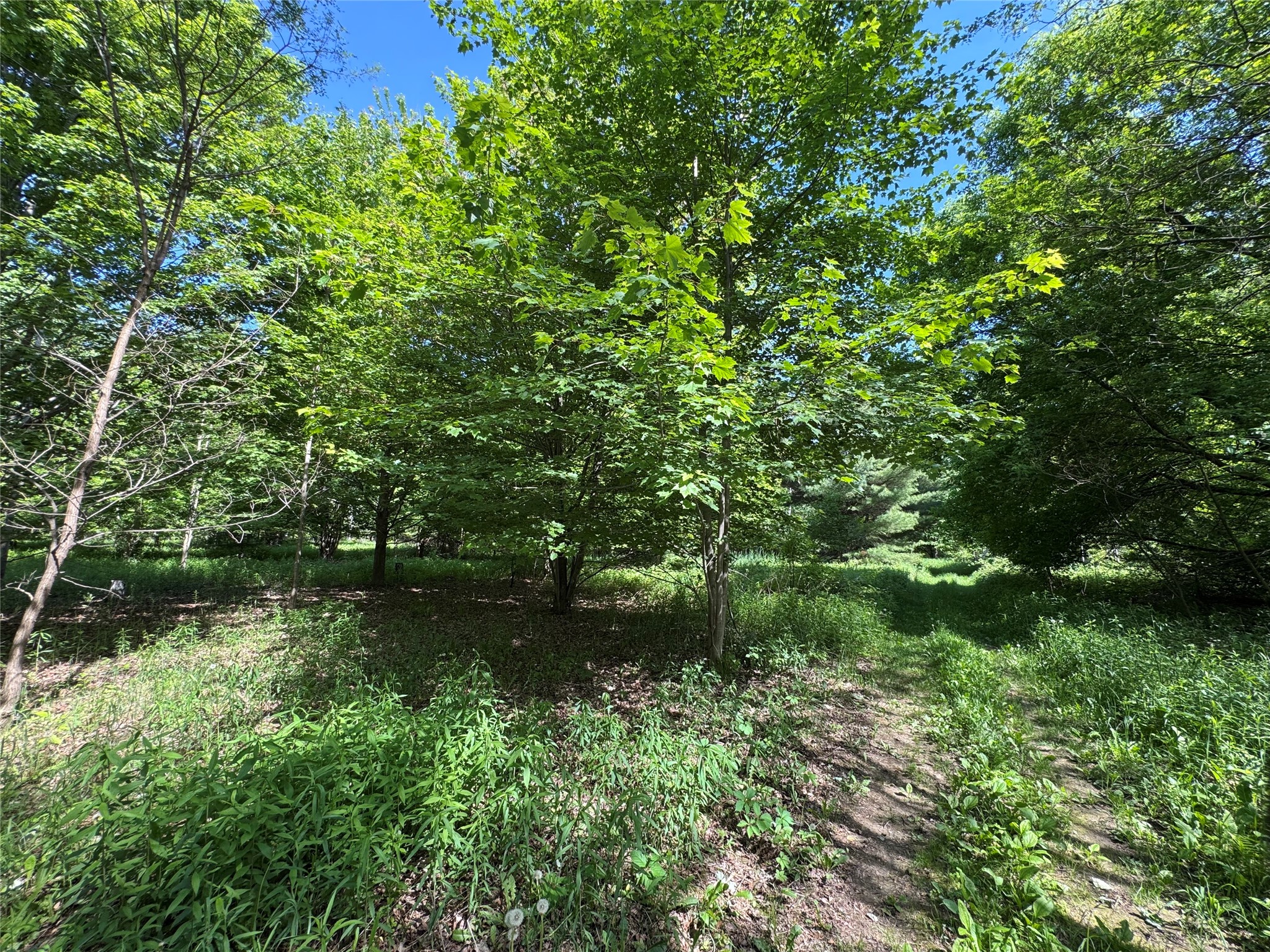 000 County Highway K Wausau WI 54401 1602082 image23