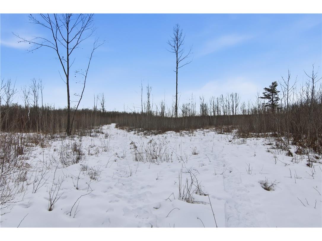 000 County Hwy G Holcombe WI 54748 1598098 image10