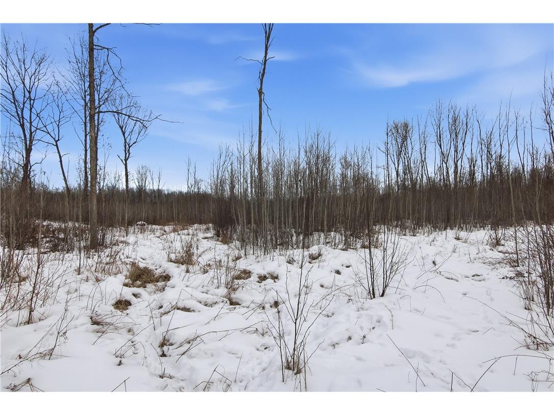 000 County Hwy G Holcombe WI 54748 1598098 image11