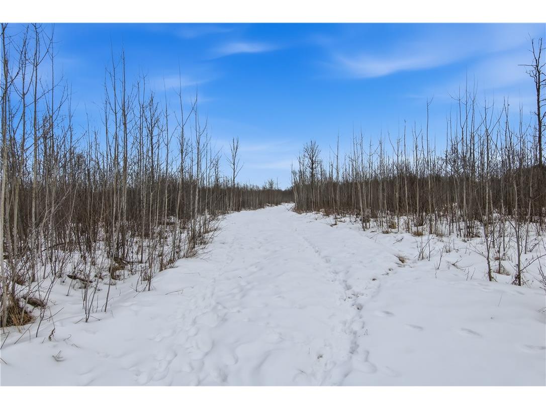 000 County Hwy G Holcombe WI 54748 1598098 image12