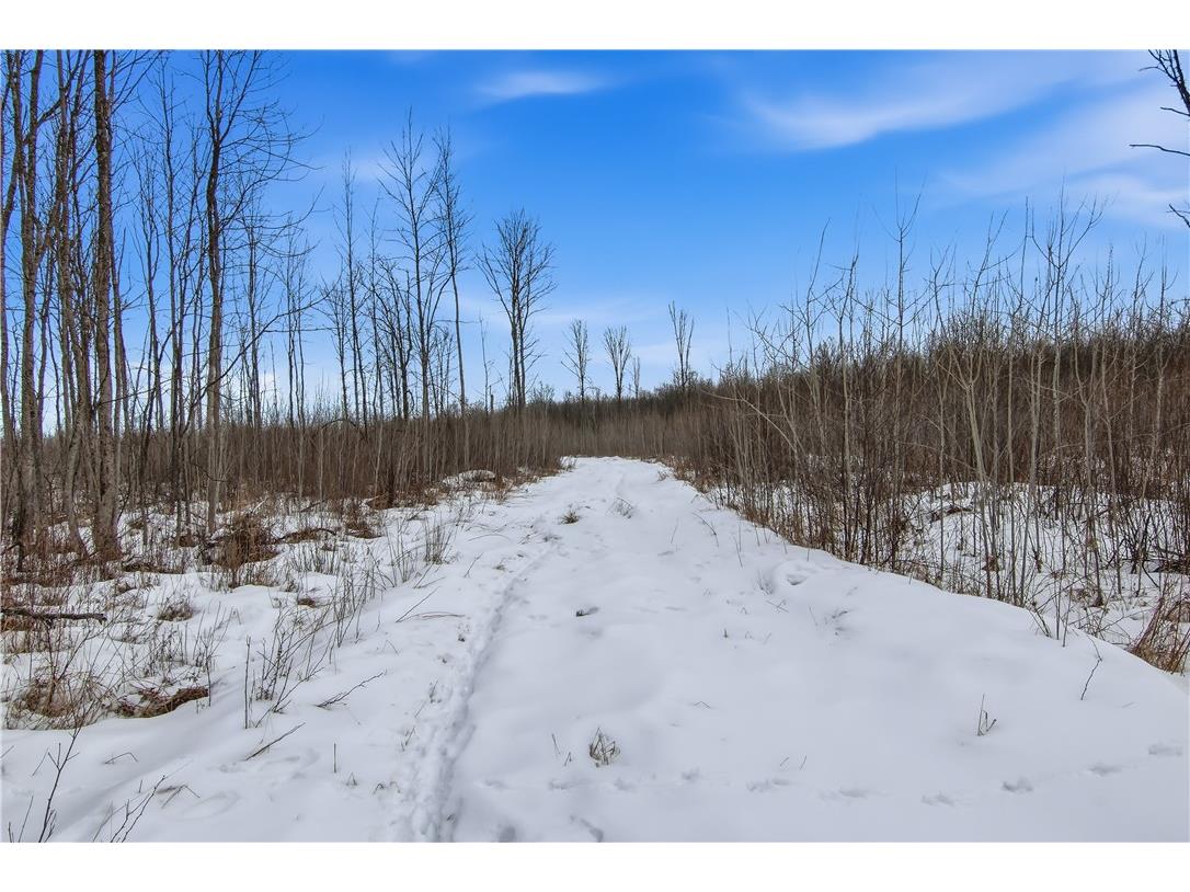 000 County Hwy G Holcombe WI 54748 1598098 image13