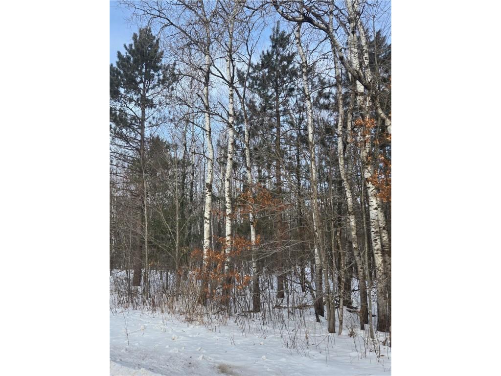 000 County Hwy G Holcombe WI 54748 1598098 image2