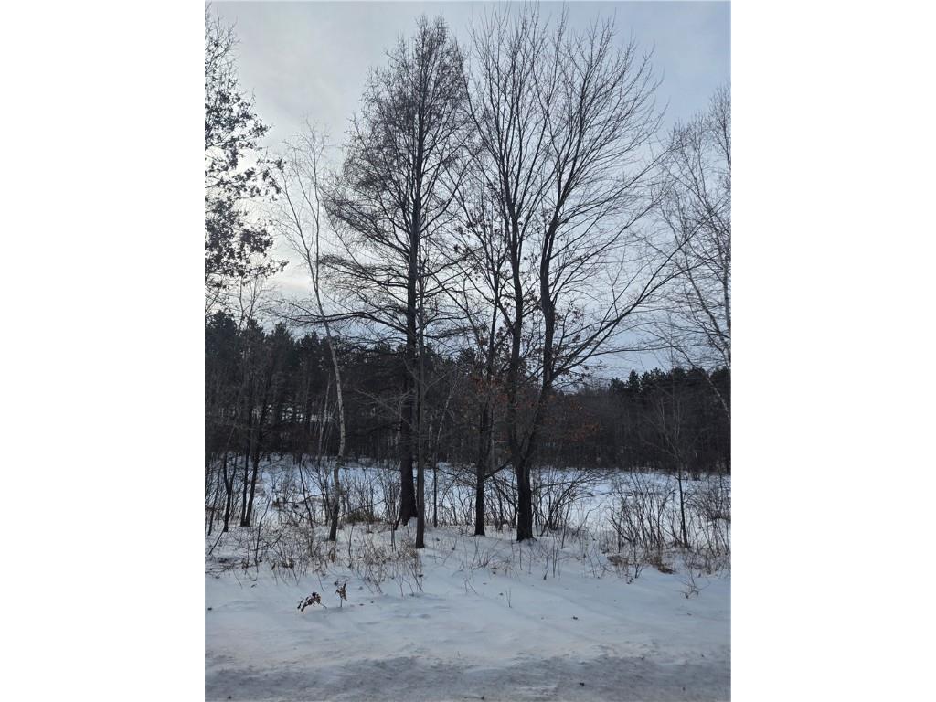 000 County Hwy G Holcombe WI 54748 1598098 image4