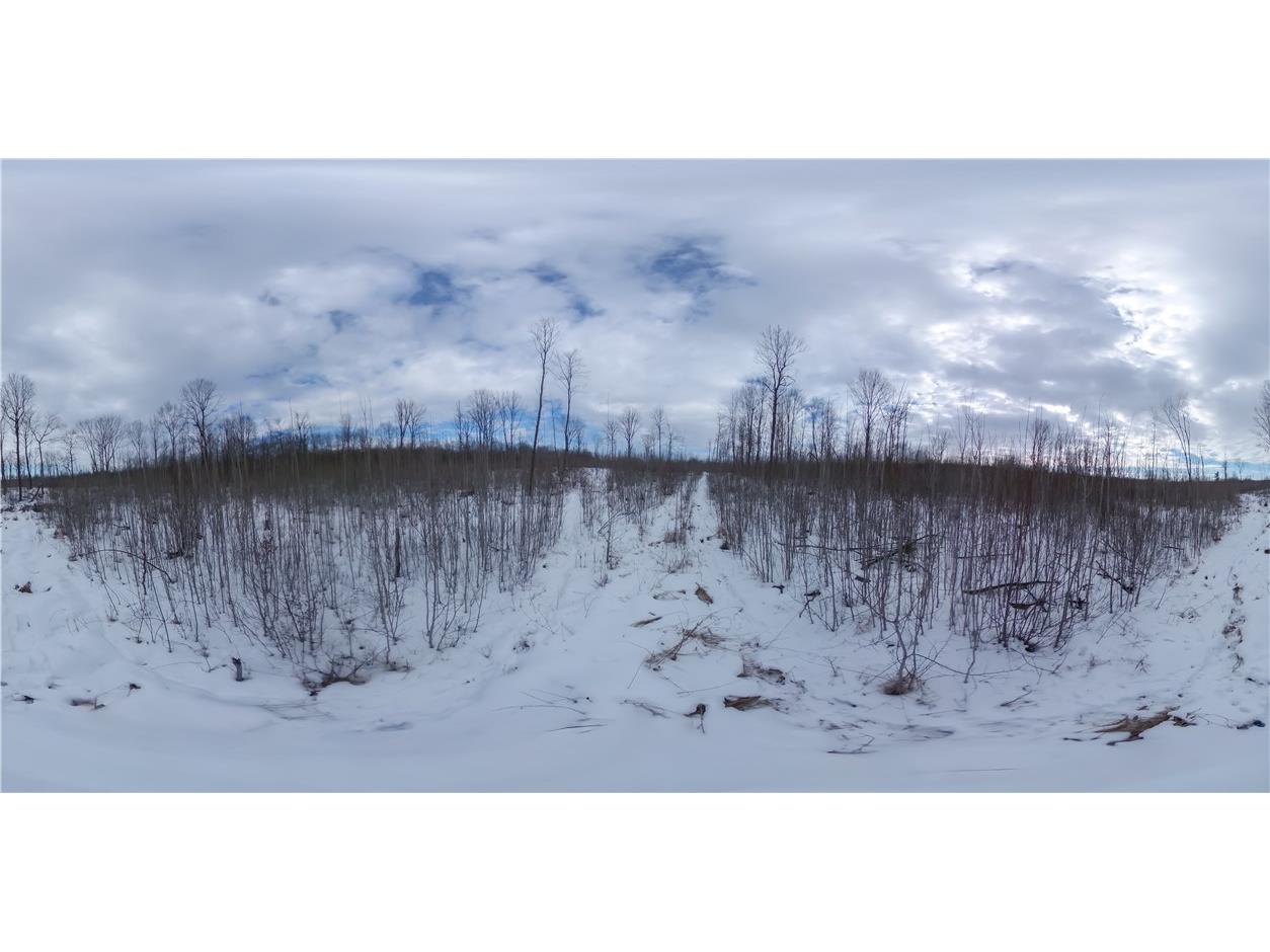 000 County Hwy G Holcombe WI 54748 1598098 image8