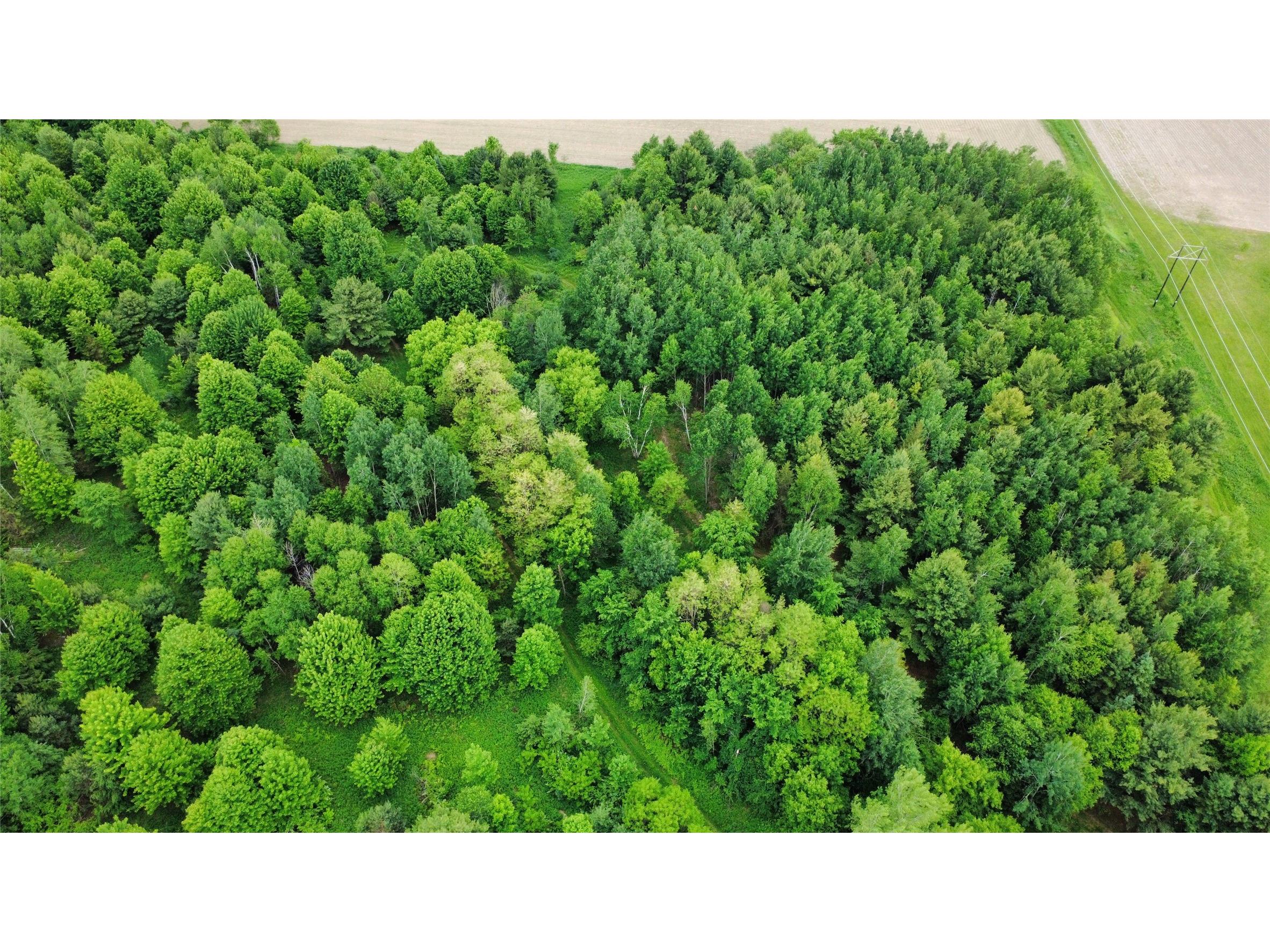 000 County Road K Wausau WI 49901 1602079 image17