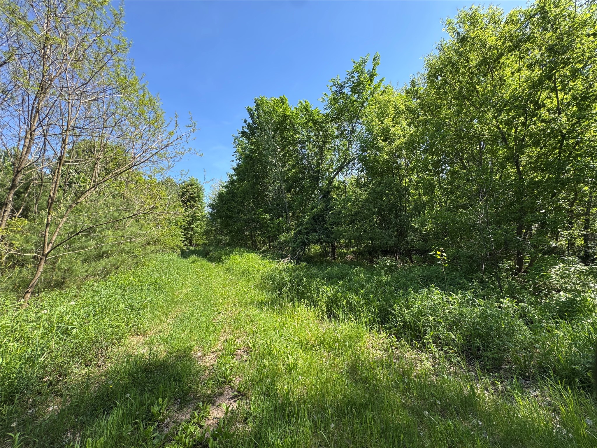 000 County Road K Wausau WI 49901 1602079 image21