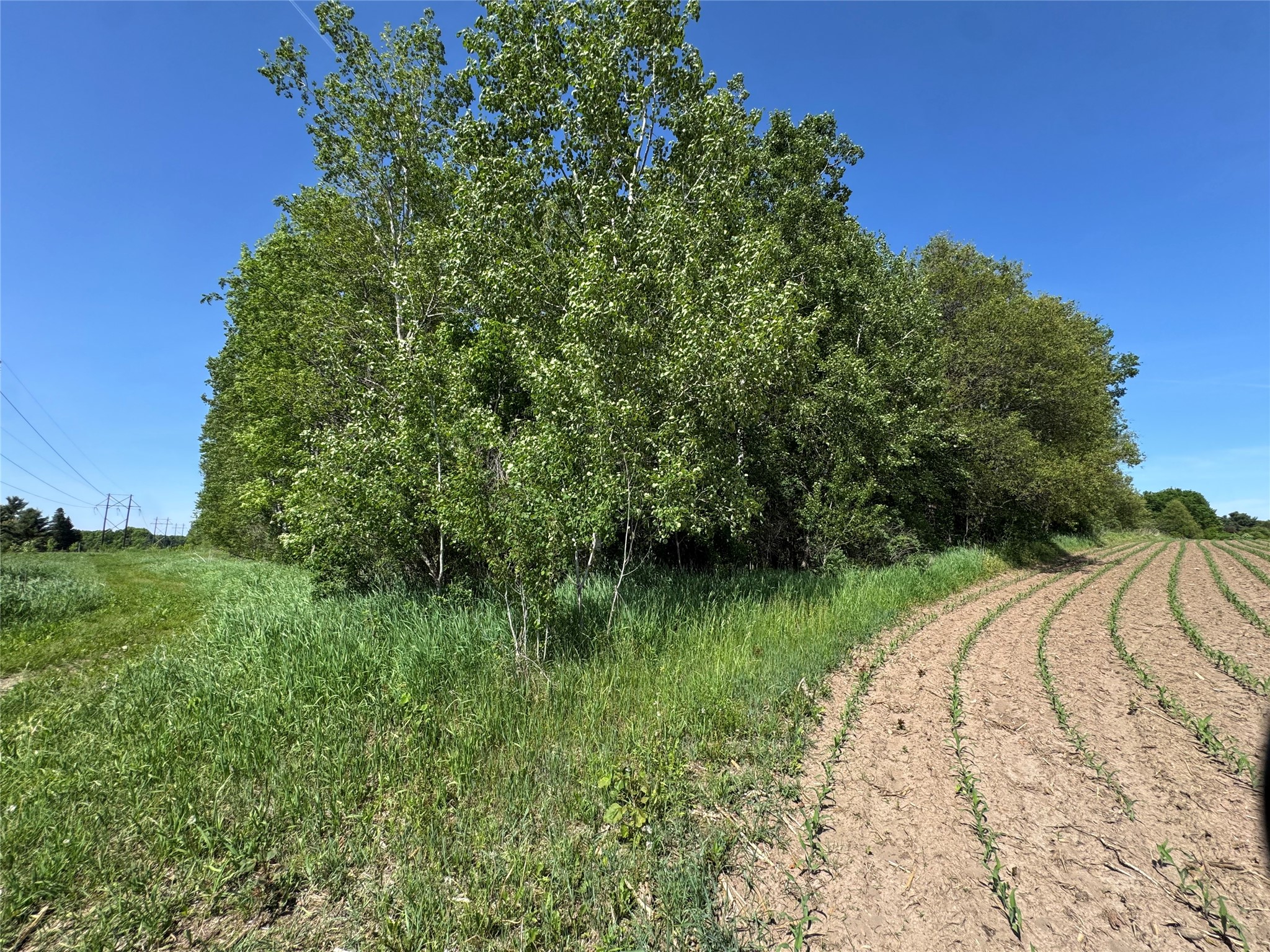 000 County Road K Wausau WI 49901 1602079 image24