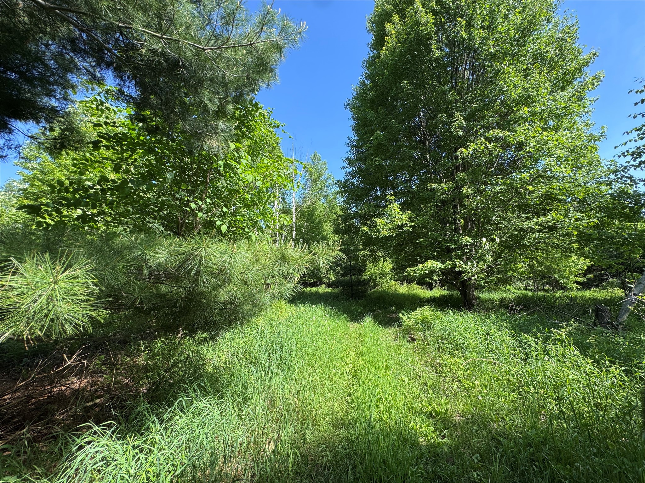 000 County Road K Wausau WI 49901 1602079 image26