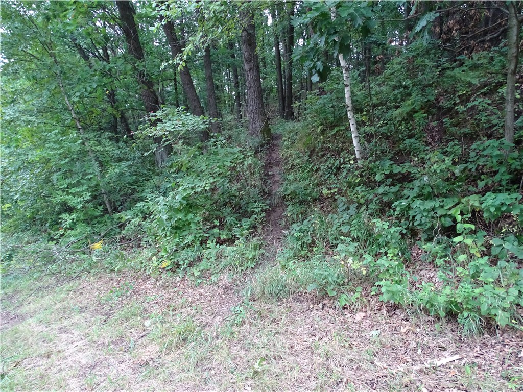 000 County Road W Mondovi WI 54755 1585269 image1