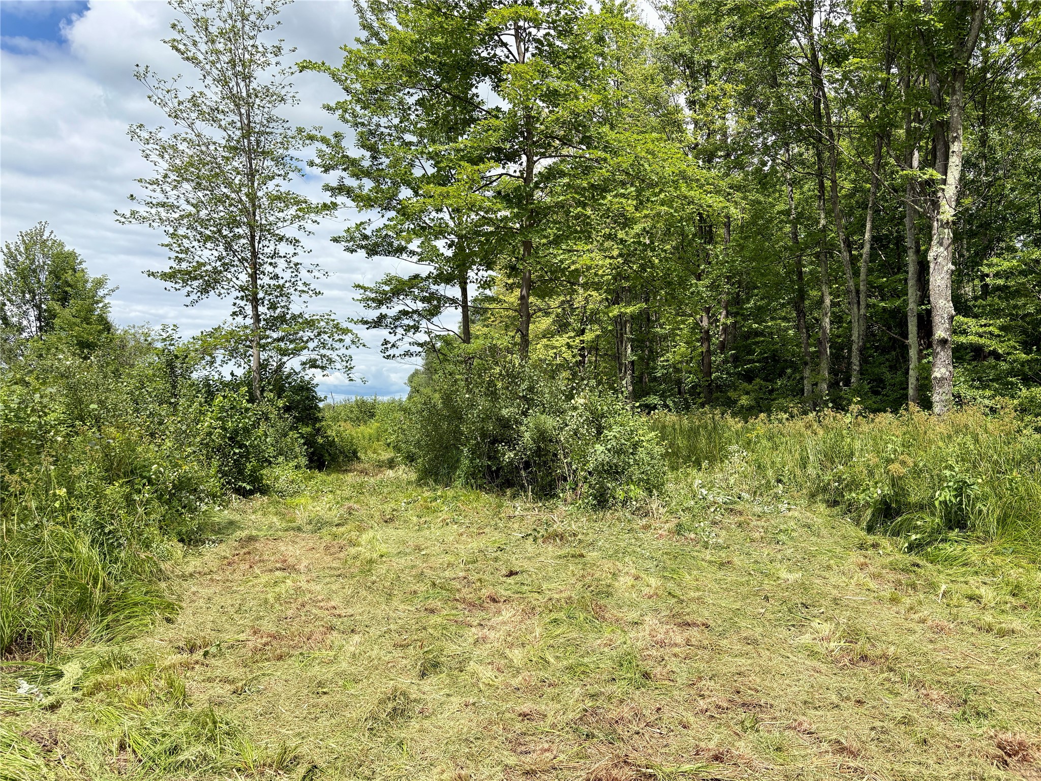 000 Girod Rd Ladysmith WI 54848 1603586 image2