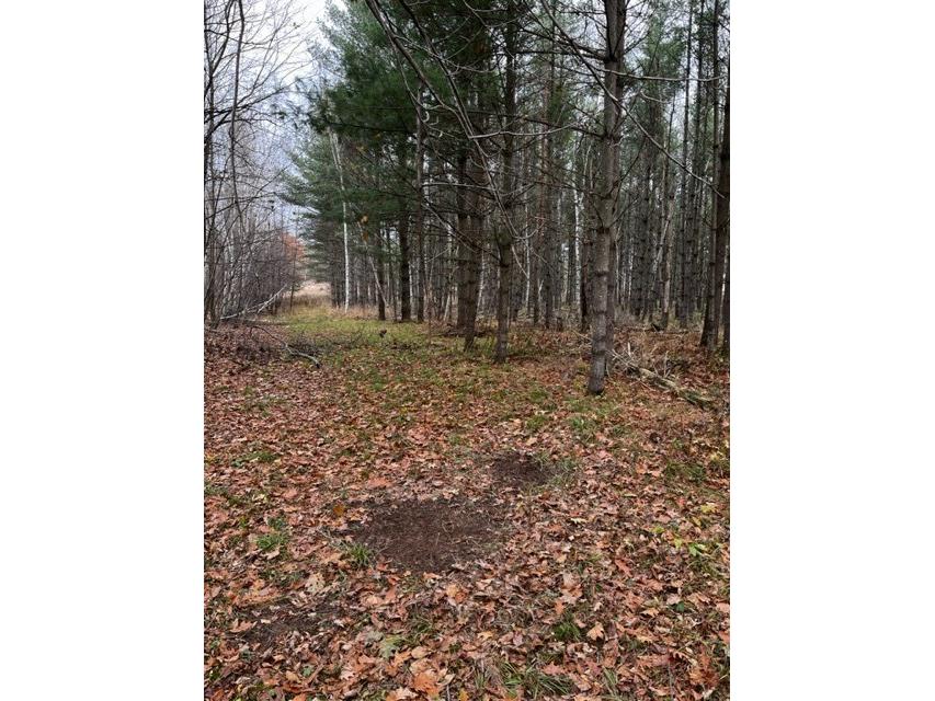 000 Granton Road Neillsville WI 54456 - Spooner Creek 1599400 image10