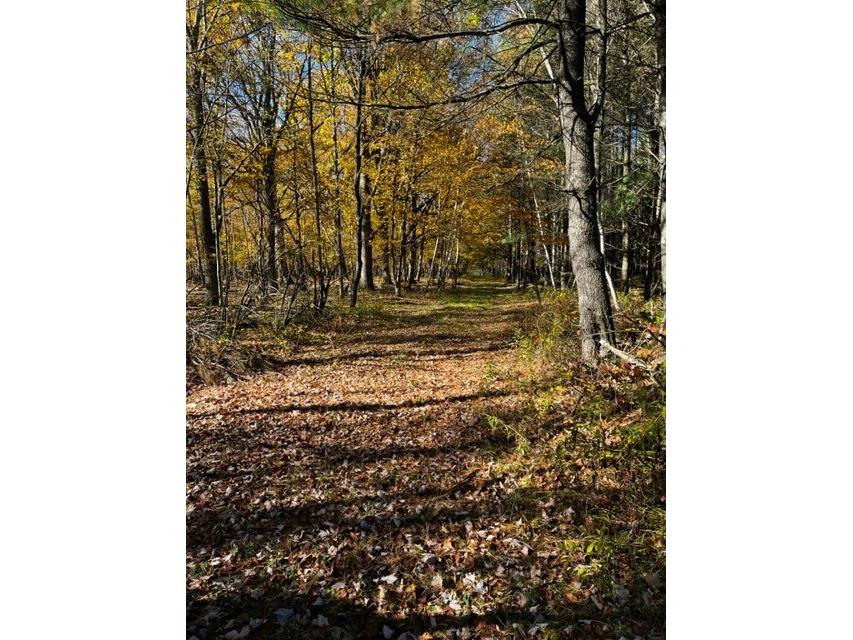 000 Granton Road Neillsville WI 54456 - Spooner Creek 1599400 image11