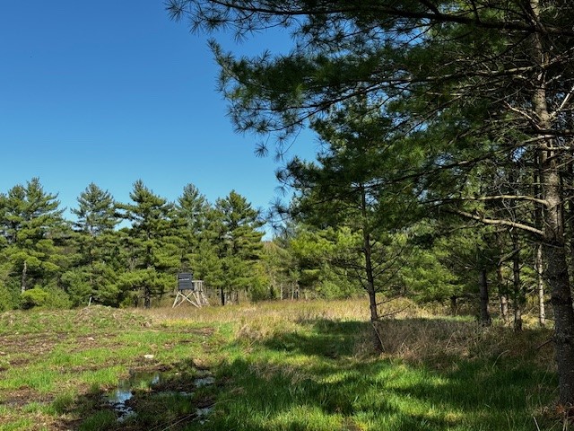 000 Granton Road Neillsville WI 54456 - Spooner Creek 1599400 image14