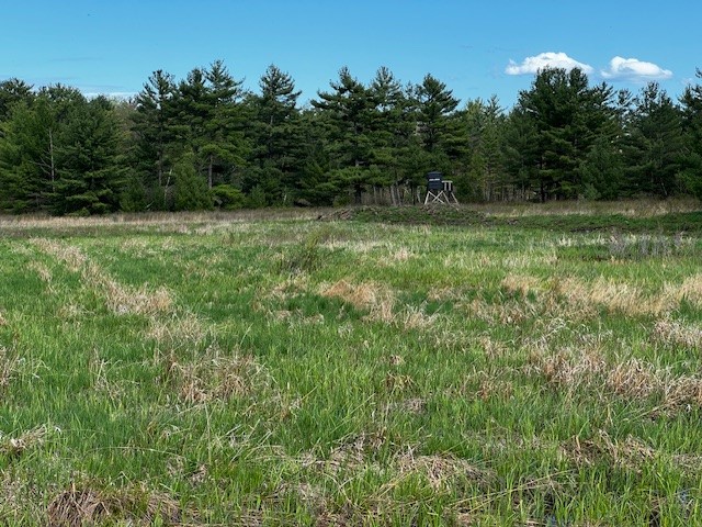 000 Granton Road Neillsville WI 54456 - Spooner Creek 1599400 image15